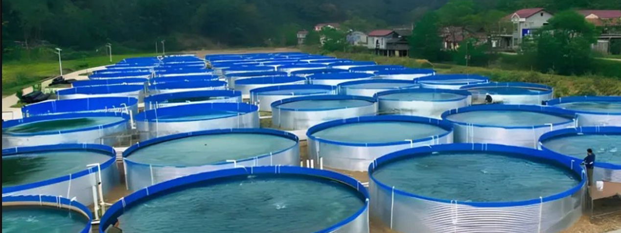 Pvc Tarpaulin Fish Pond＆Water Tank