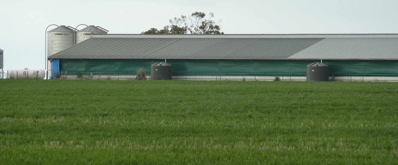 Animal Husbandry Tarps & Covers